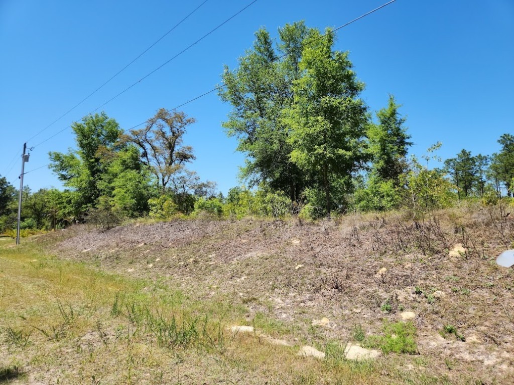 lot 5 SW 64th Lane Ocala FL 34481 OM699530 image1