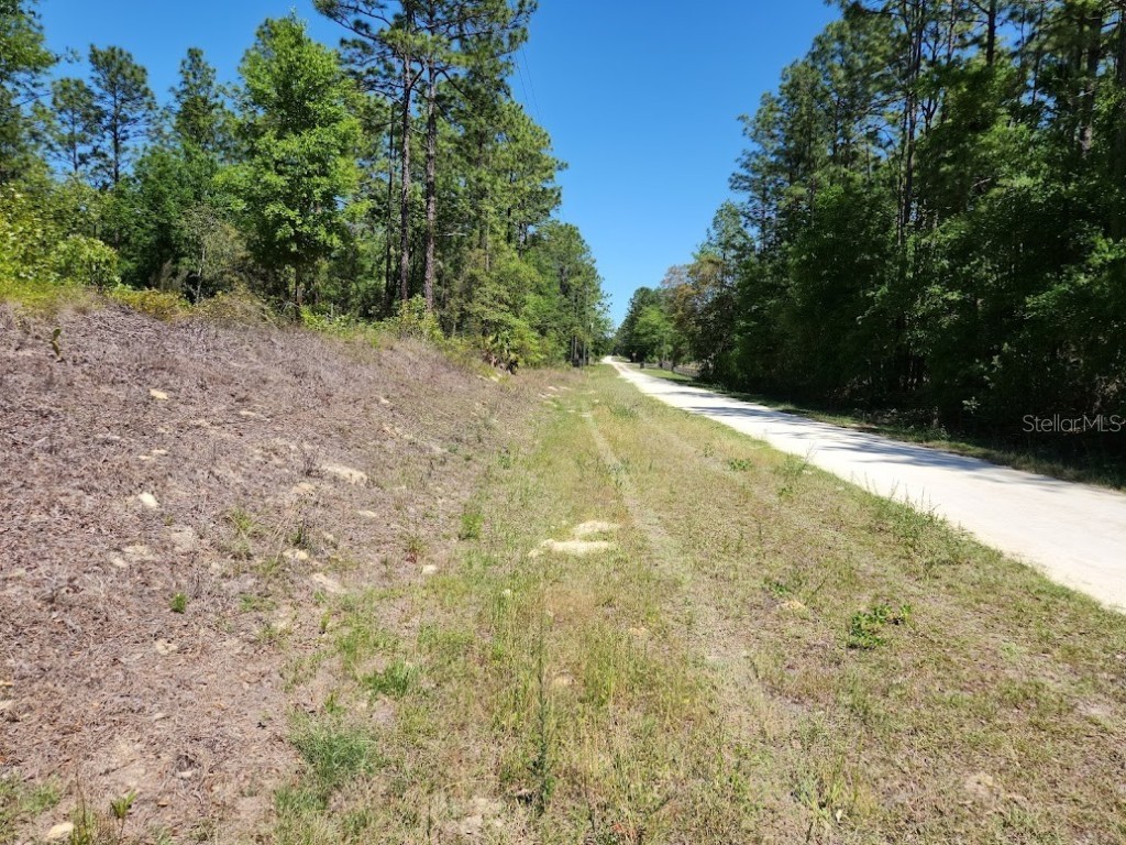 lot 5 SW 64th Lane Ocala FL 34481 OM699530 image10