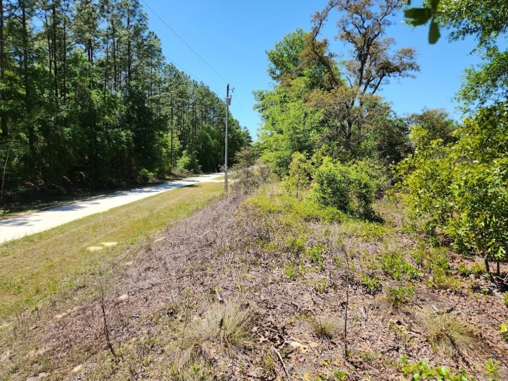 lot 5 SW 64th Lane Ocala FL 34481 OM699530 image11