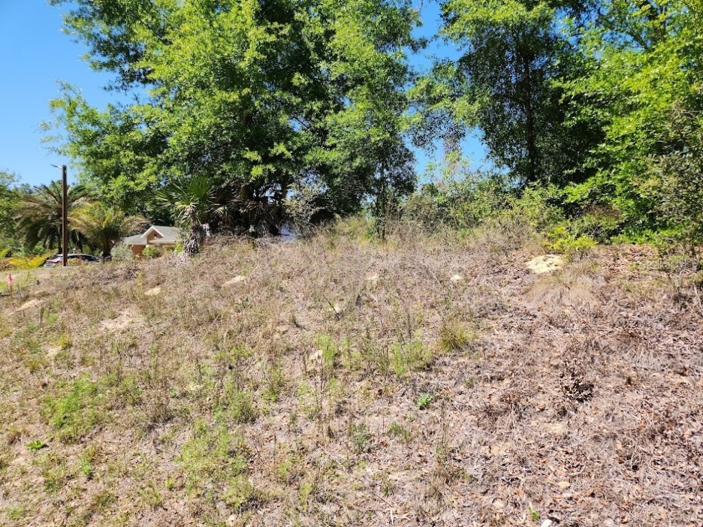 lot 5 SW 64th Lane Ocala FL 34481 OM699530 image12
