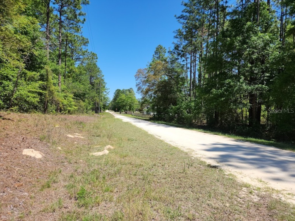 lot 5 SW 64th Lane Ocala FL 34481 OM699530 image2