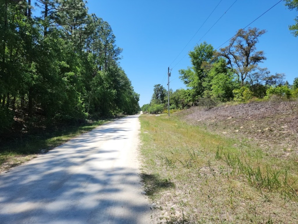 lot 5 SW 64th Lane Ocala FL 34481 OM699530 image4