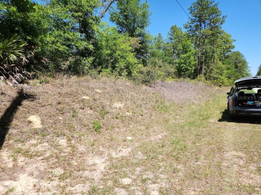 lot 5 SW 64th Lane Ocala FL 34481 OM699530 image9