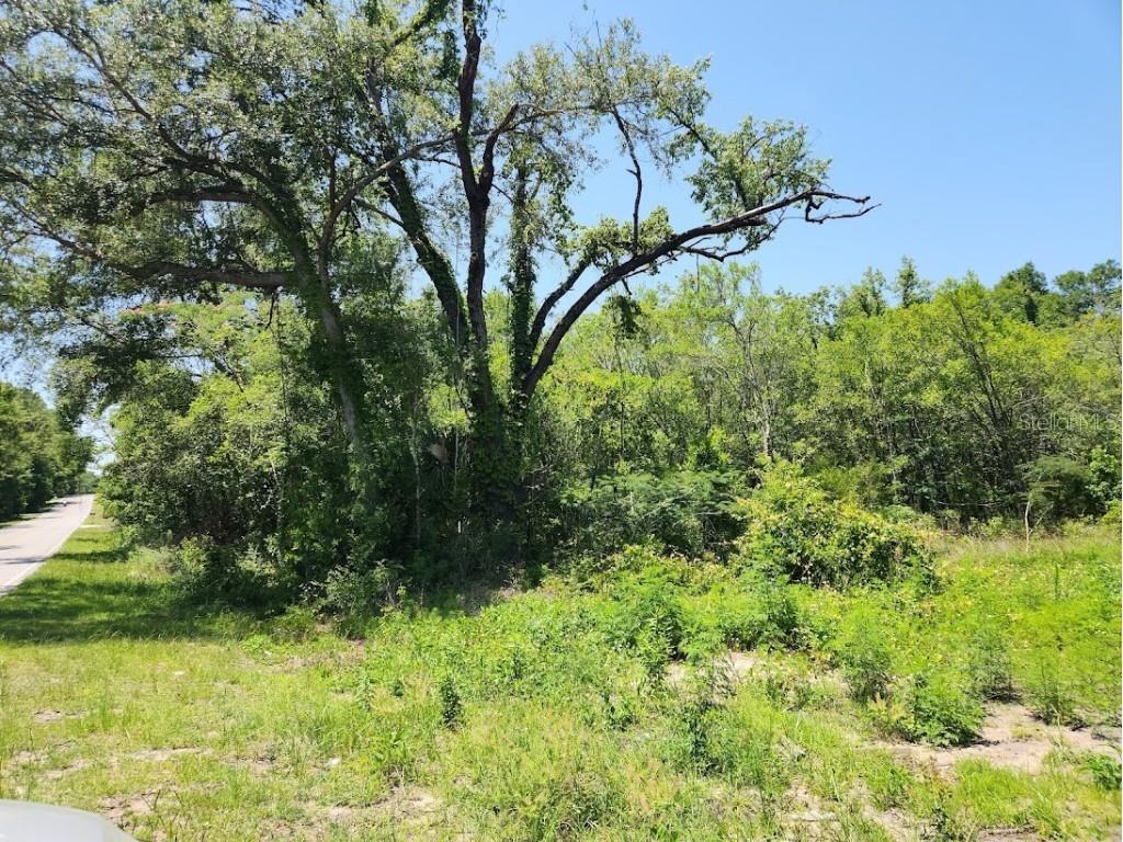 lot 57 SW Marine Boulevard Dunnellon FL 34431 OM702677 image1