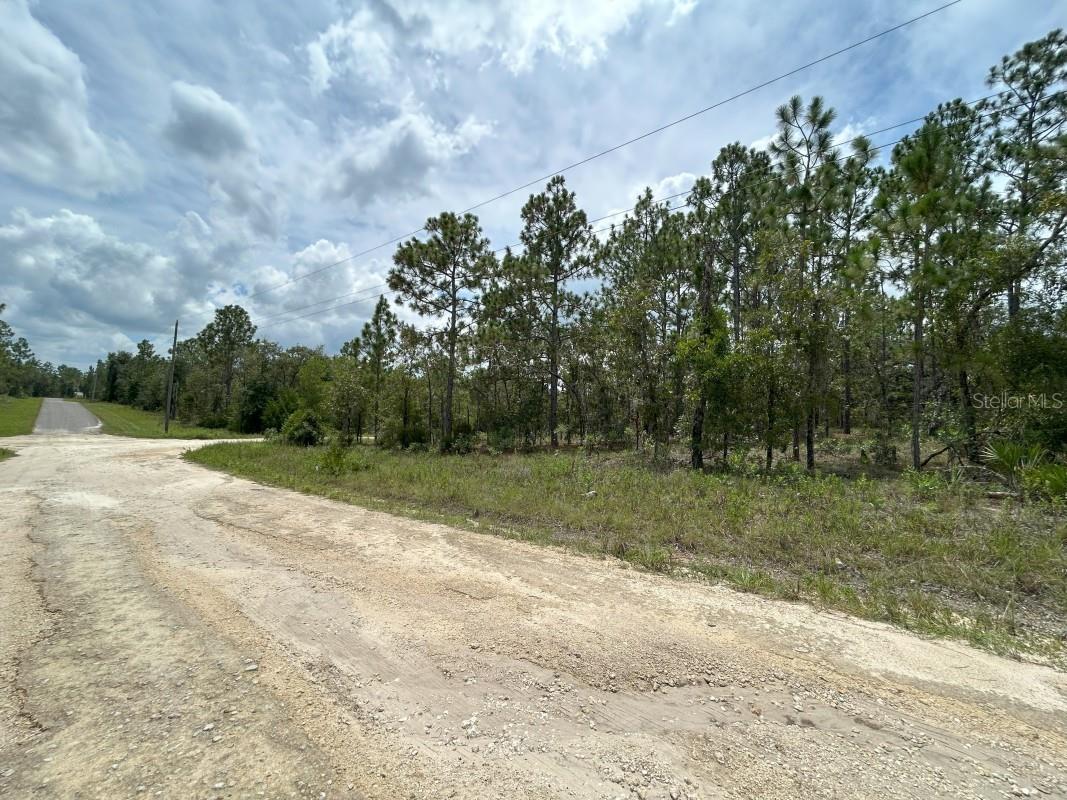 lot 6 NE 152nd Court Williston FL 32696 A4662072 image1