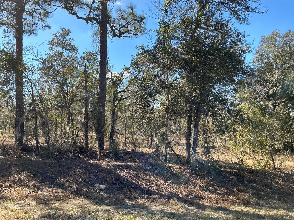 lot 8 SW Viburnum Road Dunnellon FL 34431 OM696215 image1