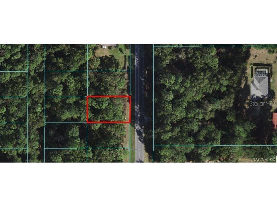 lots 10-12 SE 36th Avenue Belleview FL 34420 OM622242 image1