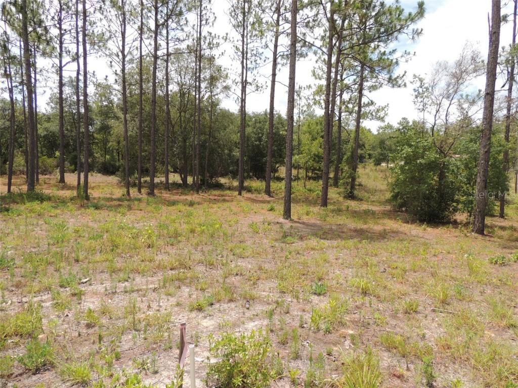 multiple NE 134th Terrace Williston FL 32696 OM680804 image1