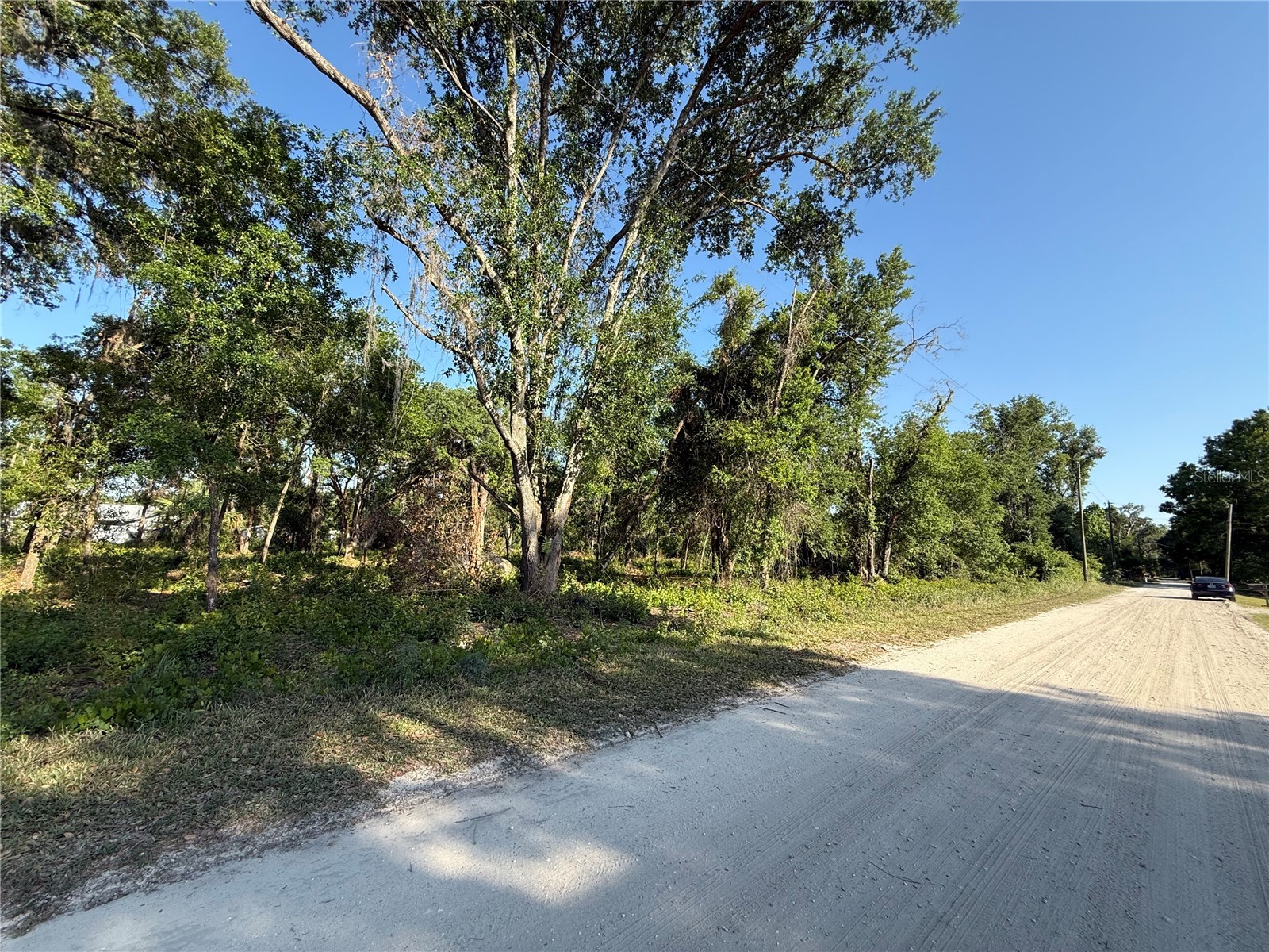 null Owens Drive Zephyrhills FL 33540 TB8509531 image2