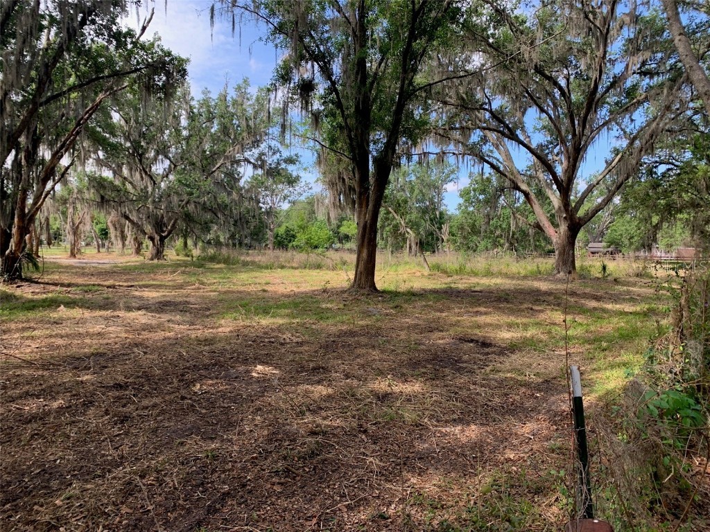 o Leaning Pine Lane Plant City FL 33565 T3437006 image1