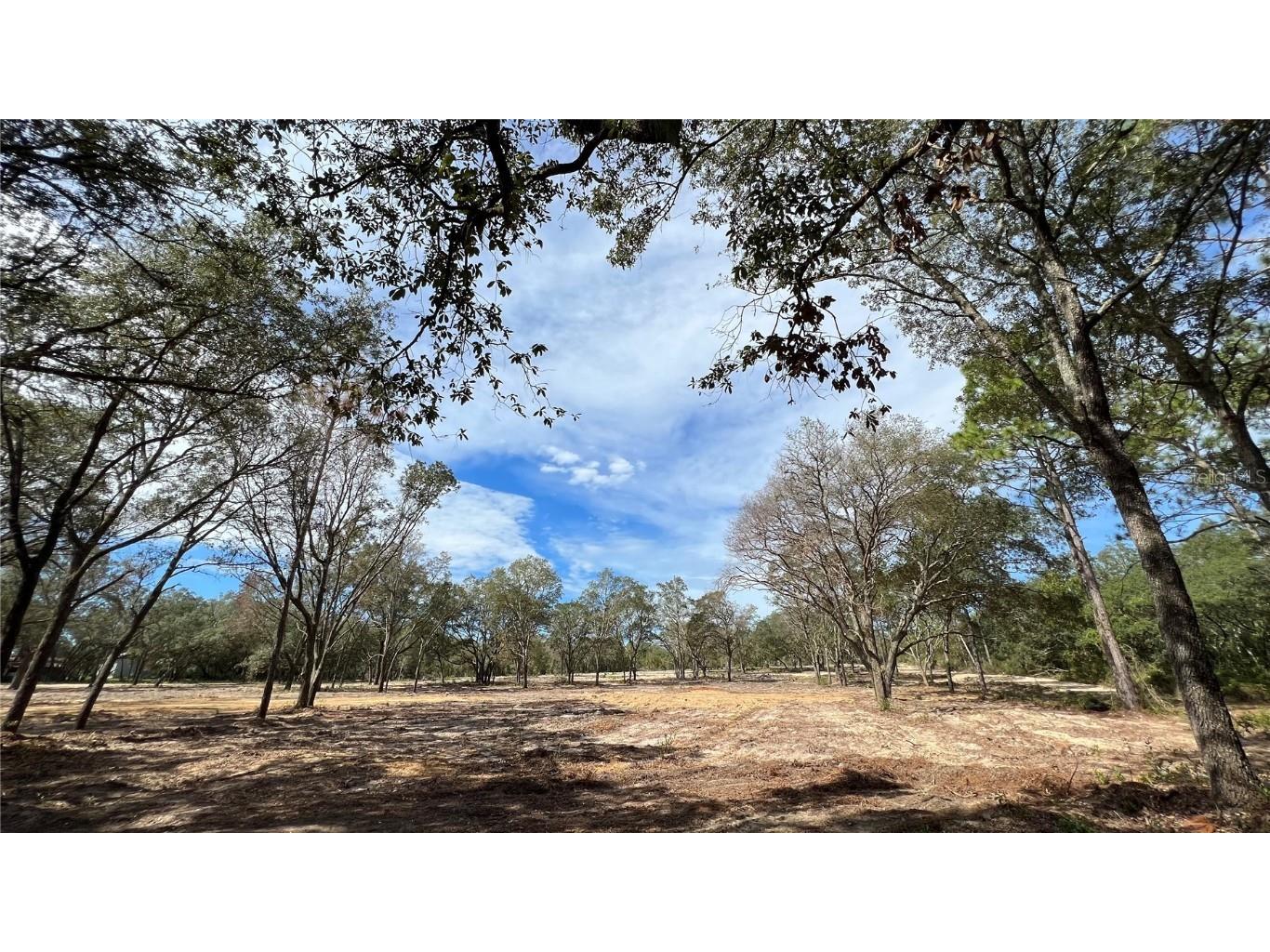 tbd 115th Avenue NE Bronson FL 32621 GC516395 image1