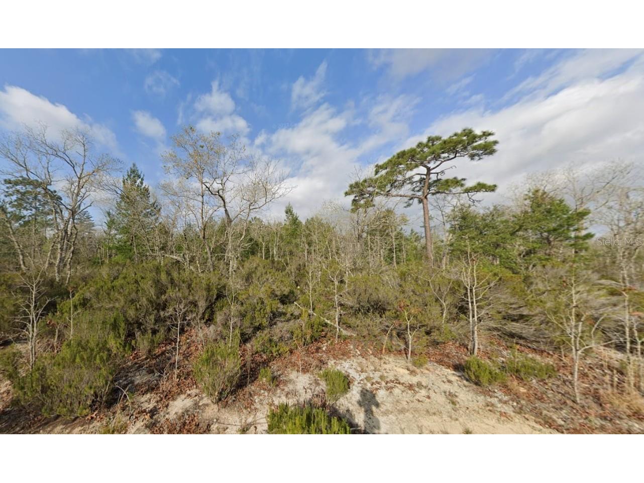 tbd 17th Street Interlachen FL 32148 OK224701 image1