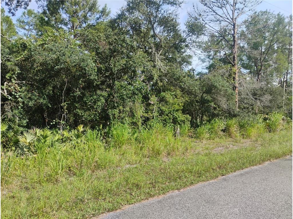 tbd Cedar Street Paisley FL 32767 OM708707 image1