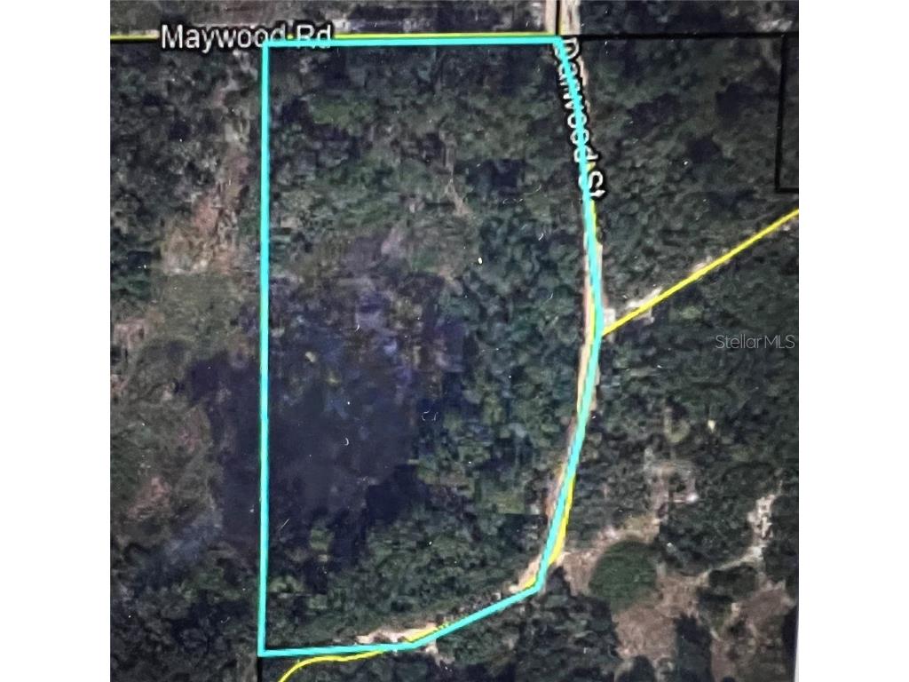 tbd Dane Lane Melrose FL 32666 TB8430192 image1