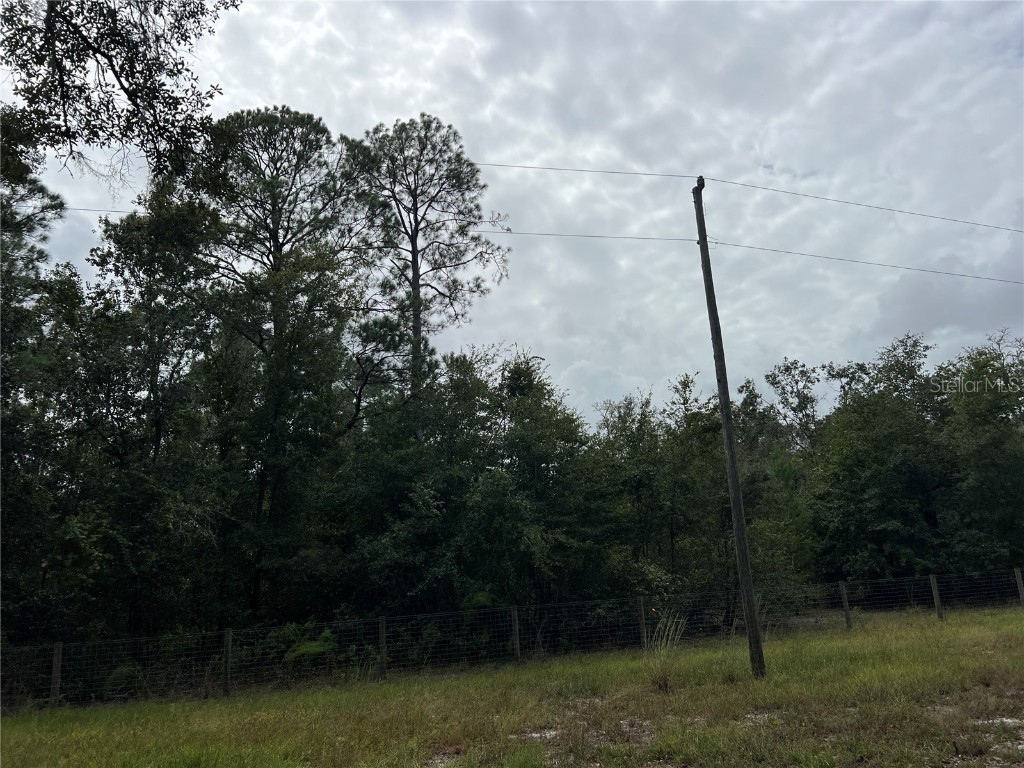 tbd Dane Lane Melrose FL 32666 TB8430192 image11