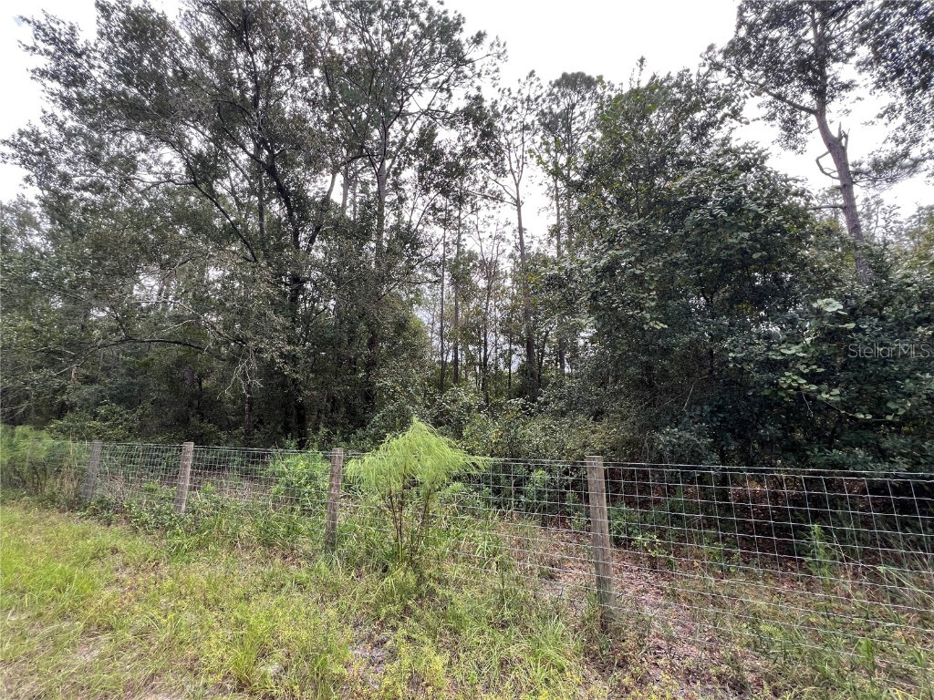 tbd Dane Lane Melrose FL 32666 TB8430192 image13