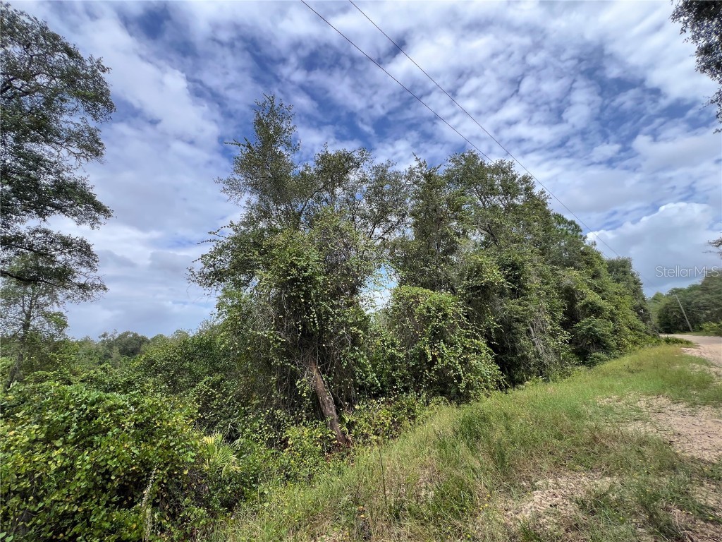 tbd Dane Lane Melrose FL 32666 TB8430192 image4