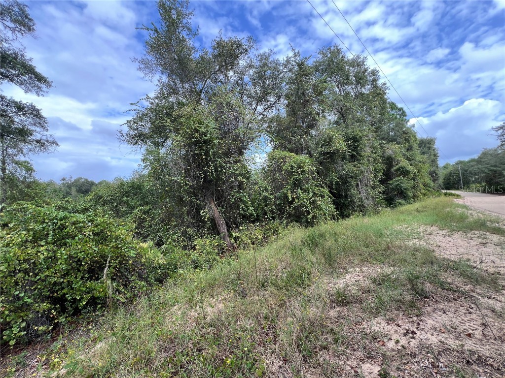 tbd Dane Lane Melrose FL 32666 TB8430192 image5