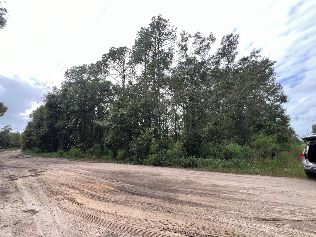 tbd Dane Lane Melrose FL 32666 TB8430192 image6