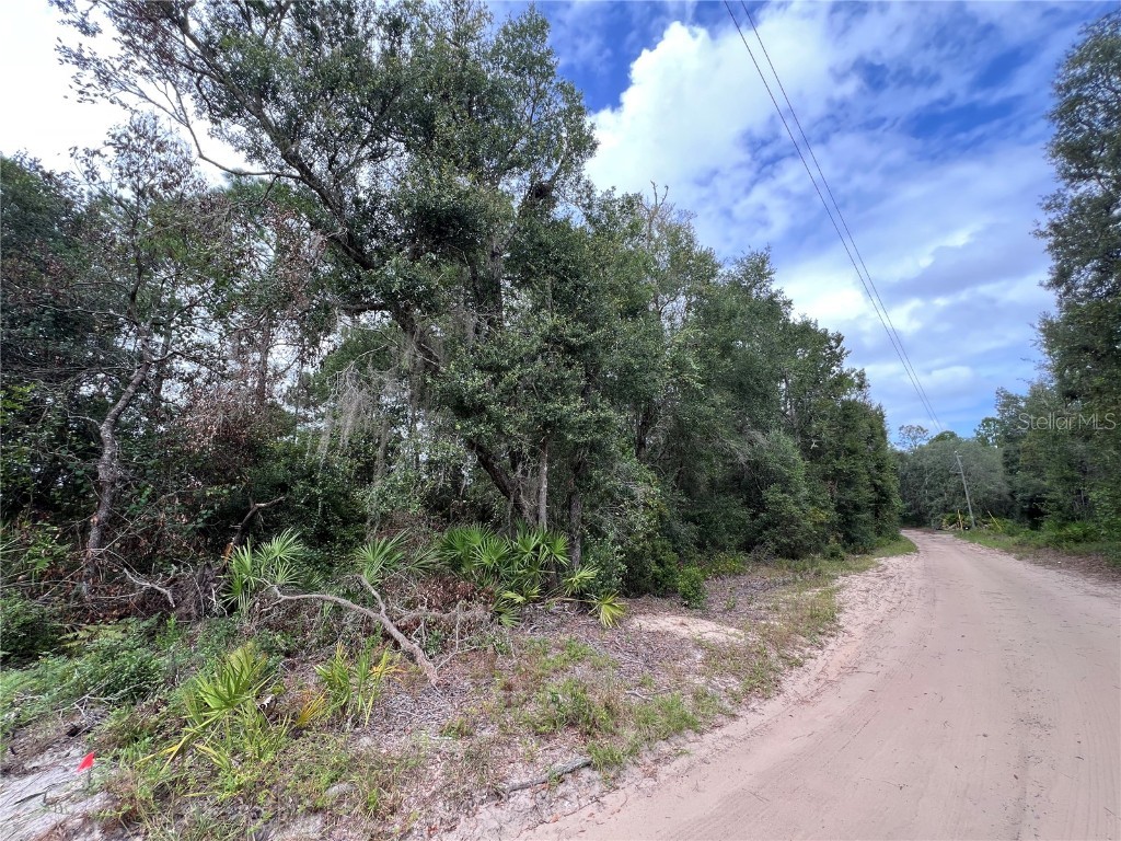 tbd Dane Lane Melrose FL 32666 TB8430192 image7