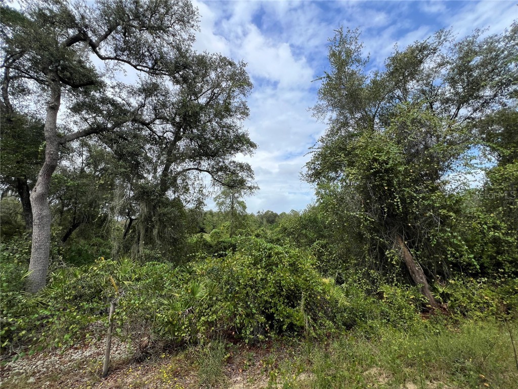 tbd Dane Lane Melrose FL 32666 TB8430192 image8