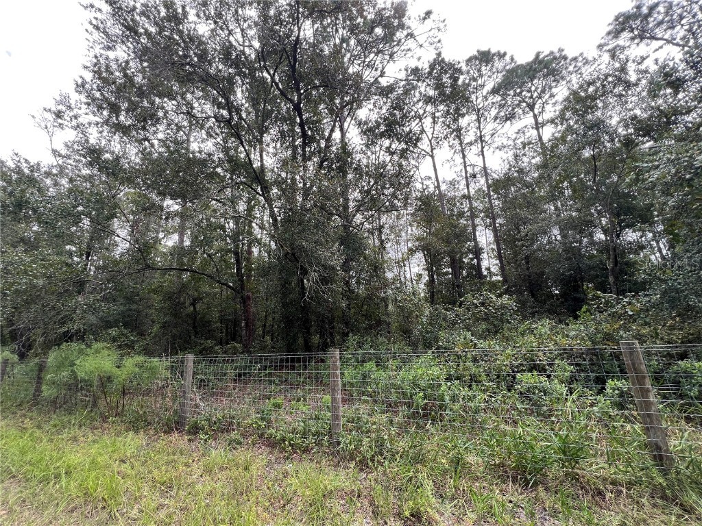 tbd Dane Lane Melrose FL 32666 TB8430192 image9