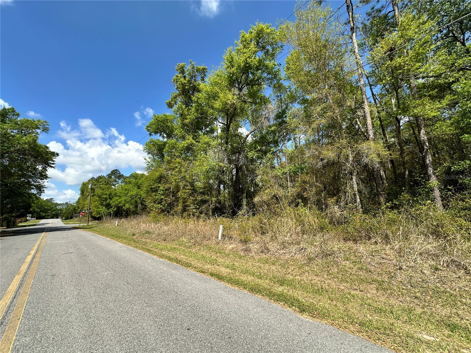 tbd Hardee Street Bronson FL 32621 OM718815 image5