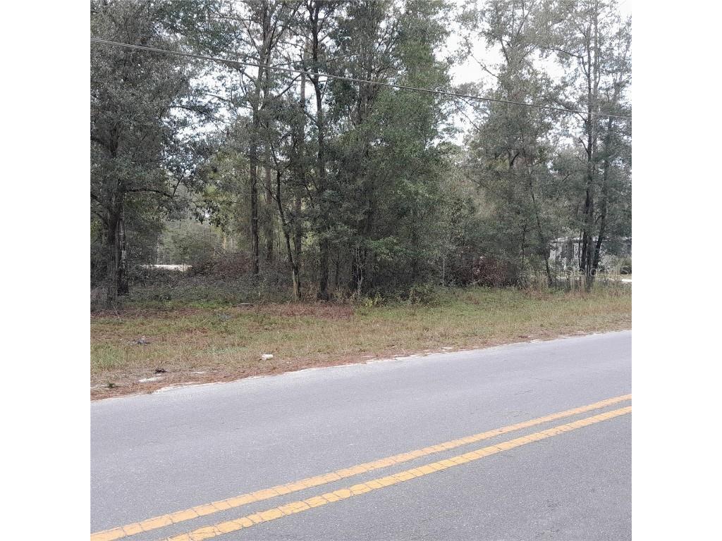 tbd NE 101st Court Bronson FL 32621 OM689508 image1