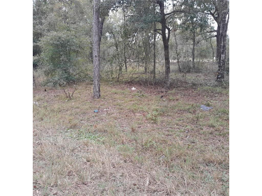 tbd NE 101st Court Bronson FL 32621 OM689508 image2