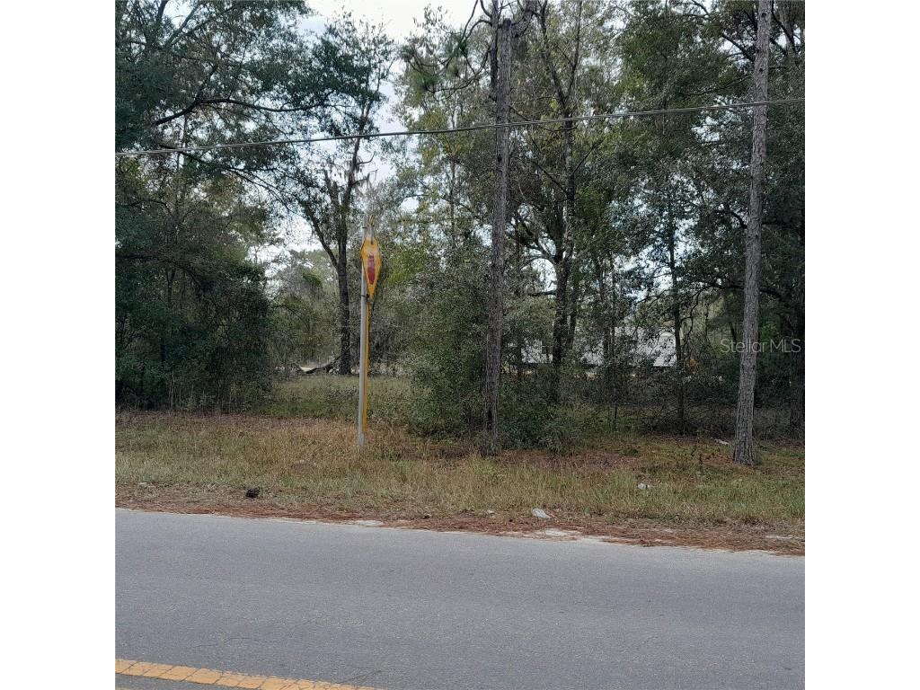 tbd NE 101st Court Bronson FL 32621 OM689508 image3