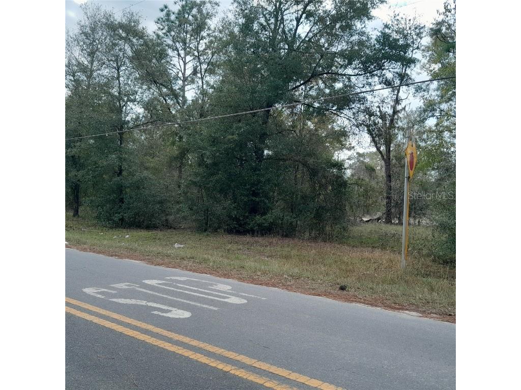 tbd NE 101st Court Bronson FL 32621 OM689508 image4