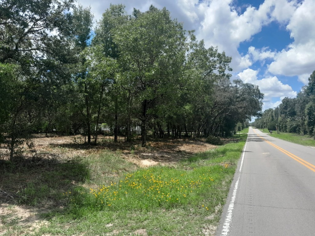 tbd NE 105th Avenue Bronson FL 32621 OM705761 image1
