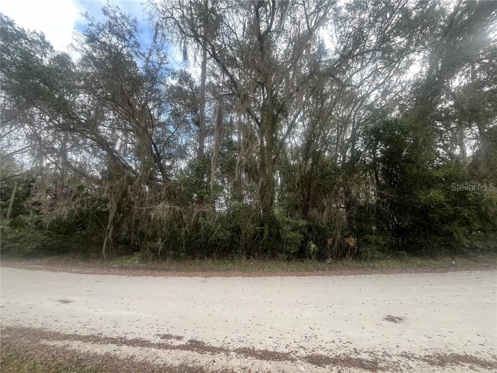 tbd NE 110th Citra FL 32113 OK224931 image1