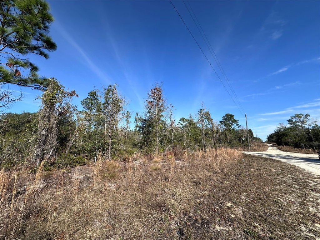 tbd NE 117th Terrace Williston FL 32696 OM692178 image2