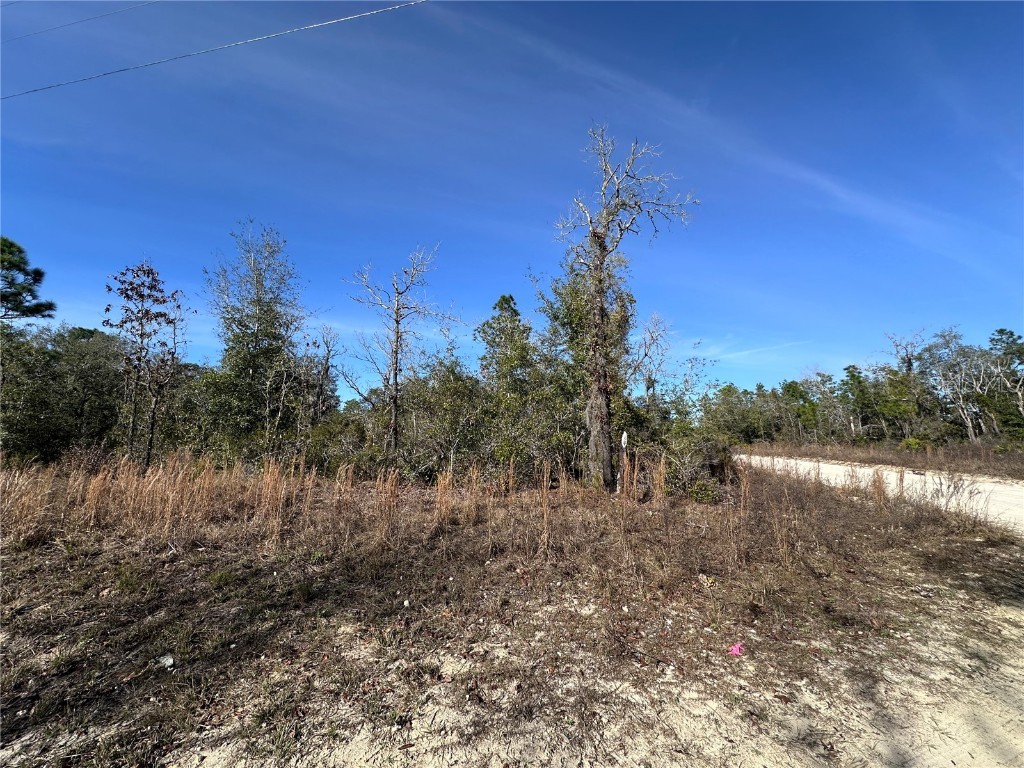 tbd NE 117th Terrace Williston FL 32696 OM692178 image3