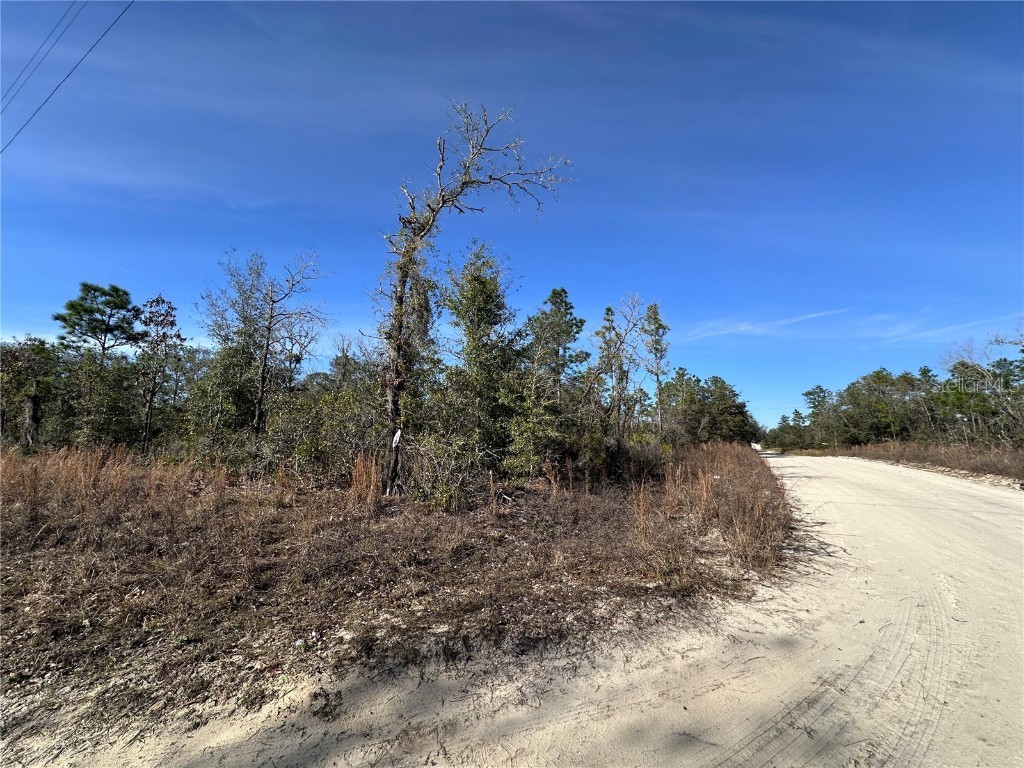 tbd NE 117th Terrace Williston FL 32696 OM692178 image4