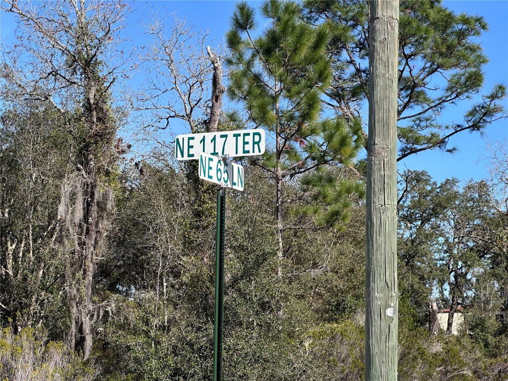 tbd NE 117th Terrace Williston FL 32696 OM692178 image5