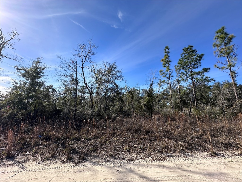 tbd NE 117th Terrace Williston FL 32696 OM692178 image6