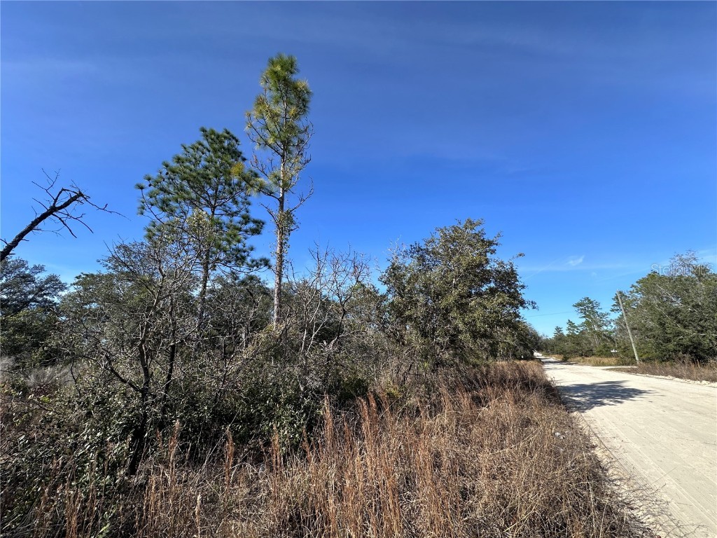 tbd NE 117th Terrace Williston FL 32696 OM692178 image8