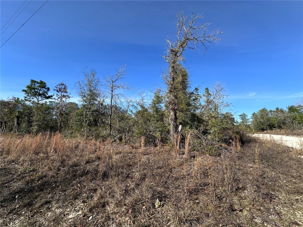 tbd NE 117th Terrace Williston FL 32696 OM692178 image9