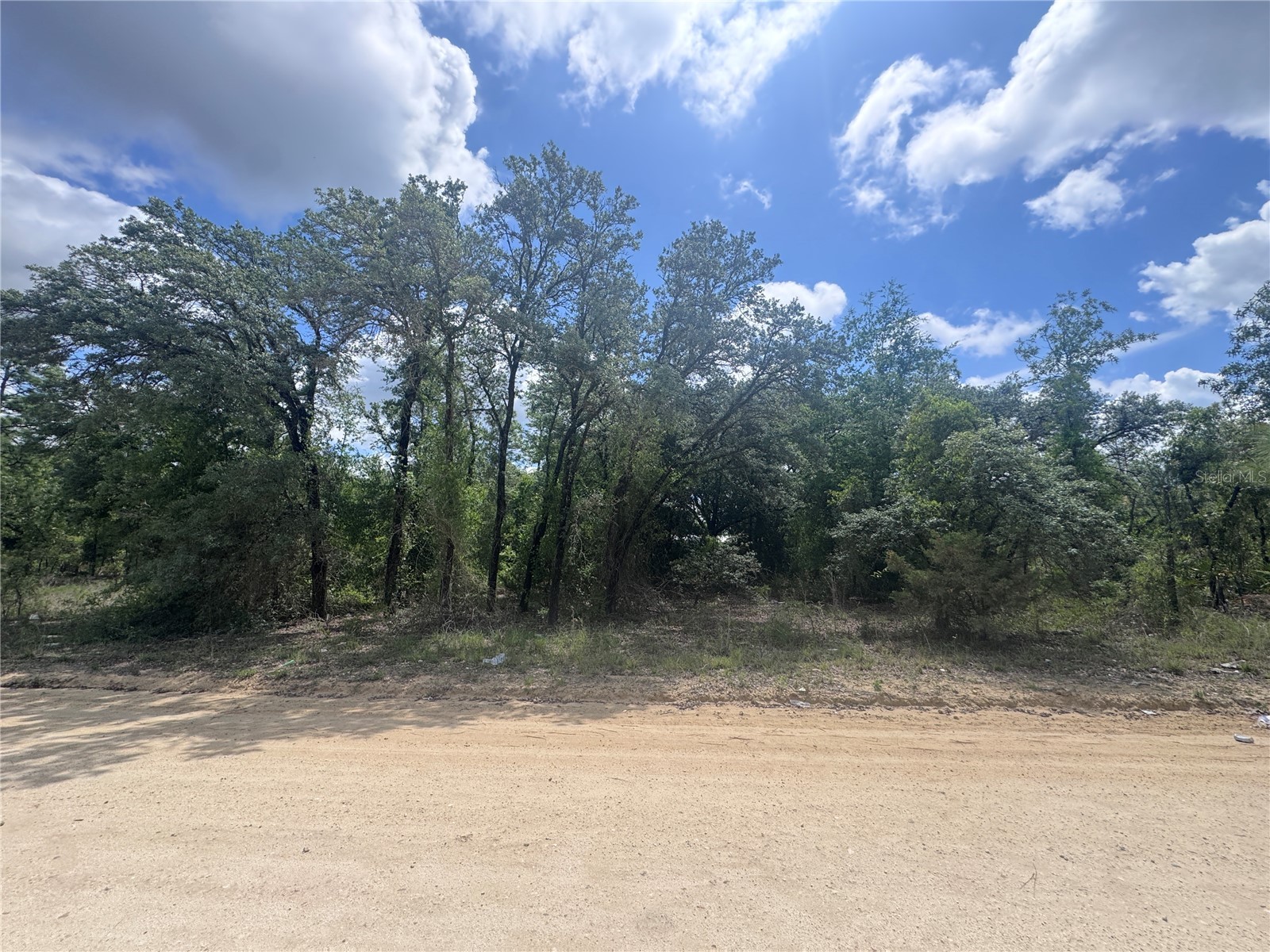 tbd NE 119th Terrace Williston FL 32696 OM724321 image1