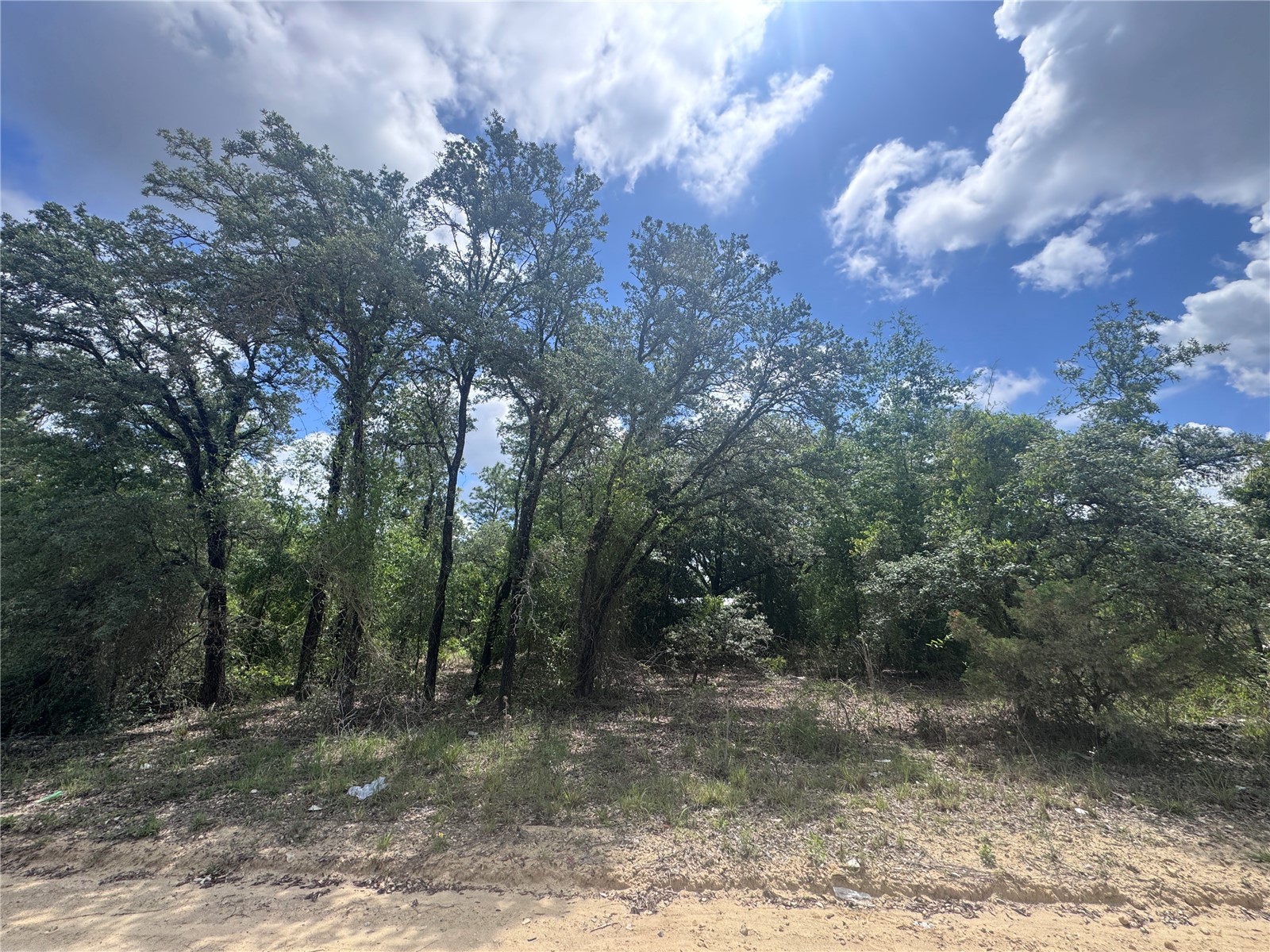 tbd NE 119th Terrace Williston FL 32696 OM724321 image2