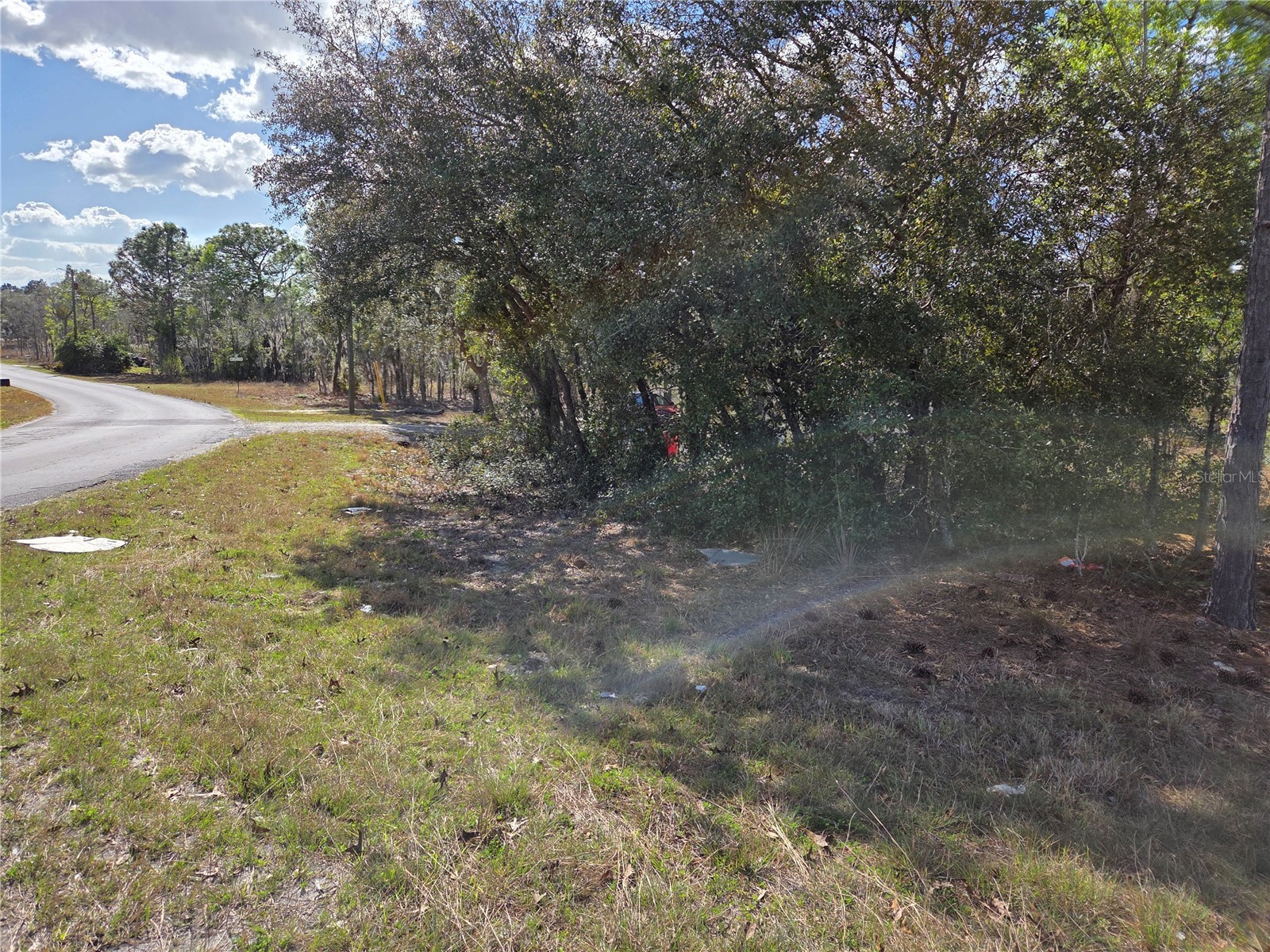 tbd NE 14th Place Williston FL 32696 OM720764 image1