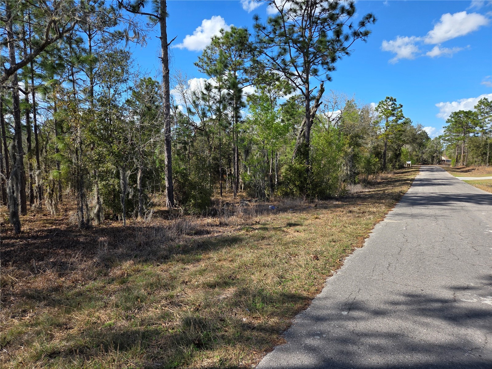 tbd NE 14th Place Williston FL 32696 OM720764 image3