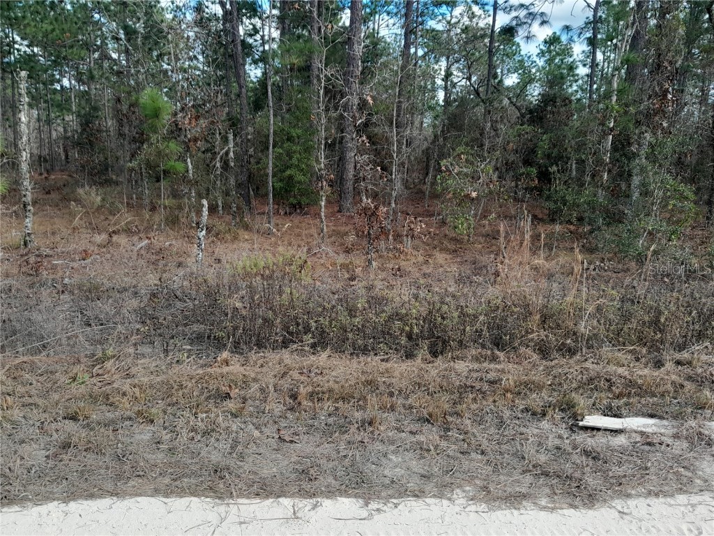 tbd NE 150th Avenue Williston FL 32696 OM715287 image4