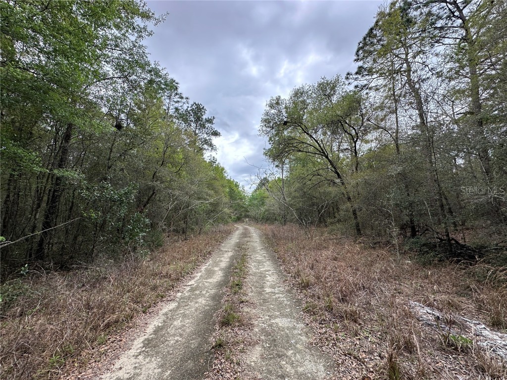 tbd NE 154th Avenue Williston FL 32696 OM695350 image4