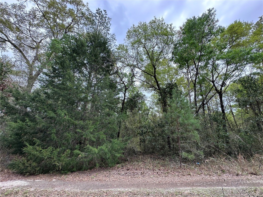 tbd NE 154th Avenue Williston FL 32696 OM695351 image1