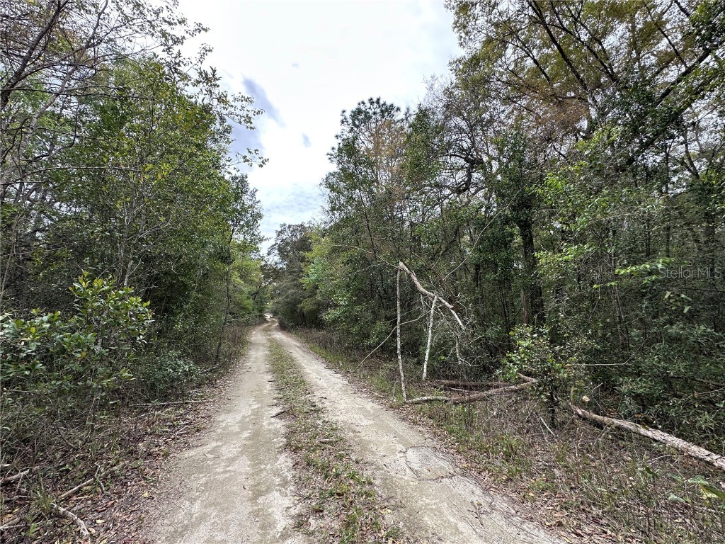 tbd NE 154th Terrace Williston FL 32696 OM695356 image3