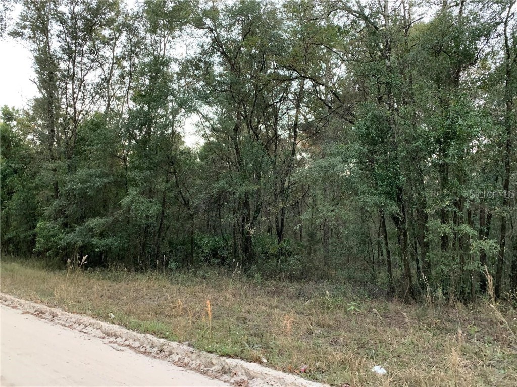 tbd NE 160th Avenue Williston FL 32696 OM694732 image1