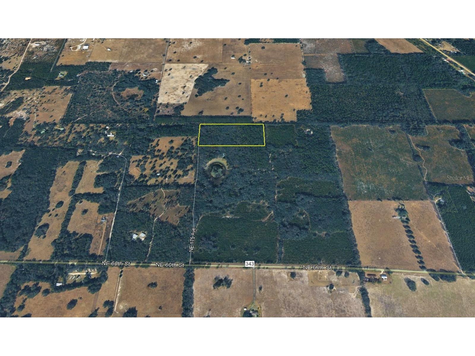 tbd NE 175th Avenue Williston FL 32696 OM715248 image1